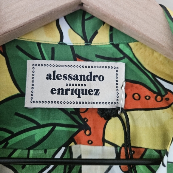 Alessandro Enriquez Lemon Print Fit and Flare Dress IT 42 NWT - Picture 9 of 14